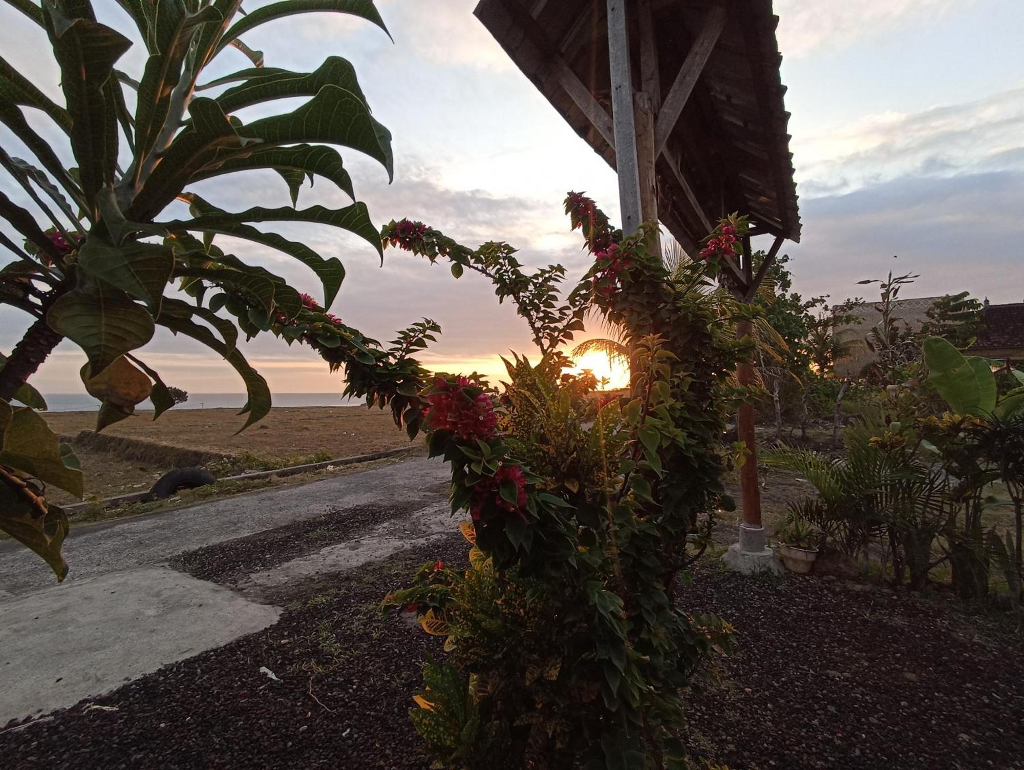 JembranaAyolah Surf House &Surf Campアパートメント エクステリア 写真